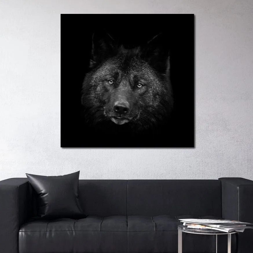 Black and White Wolf