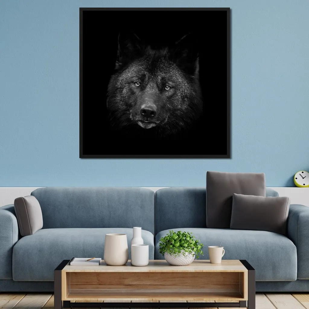 Black and White Wolf