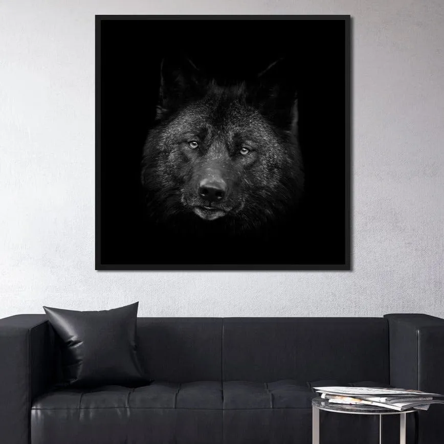 Black and White Wolf