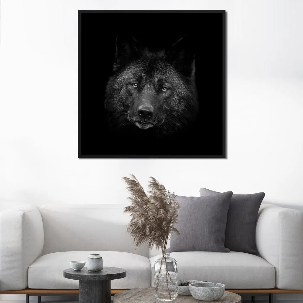 Black and White Wolf