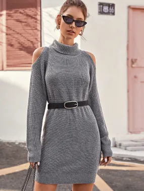 Cold Shoulder Raglan Sleeve Turtleneck Jumper Dress Without Belt