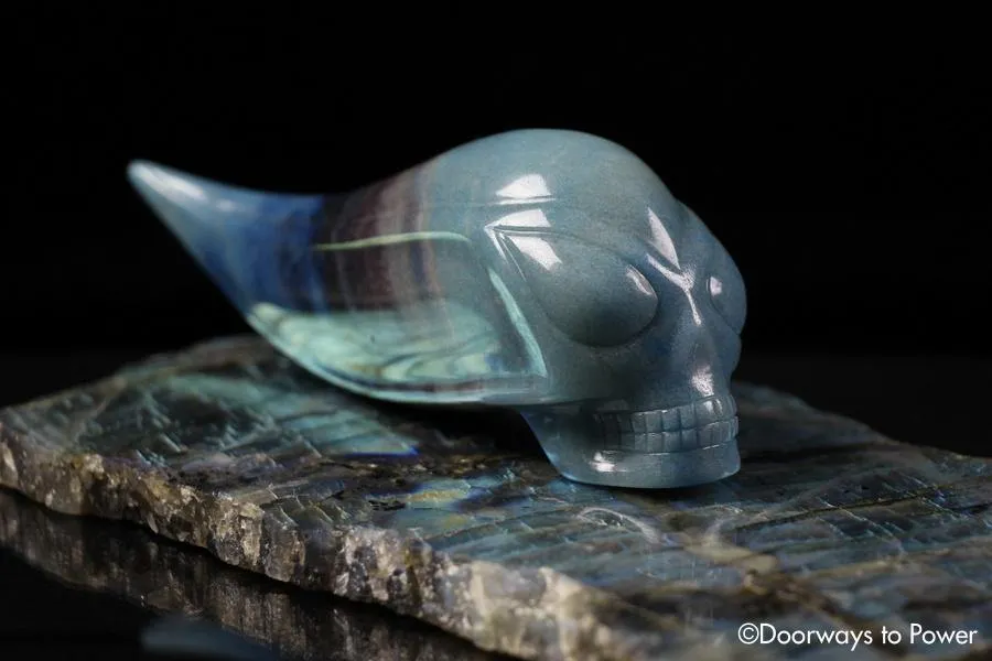 Dumortierite Star Traveler Crystal Skull 'Traveling Space & Time'