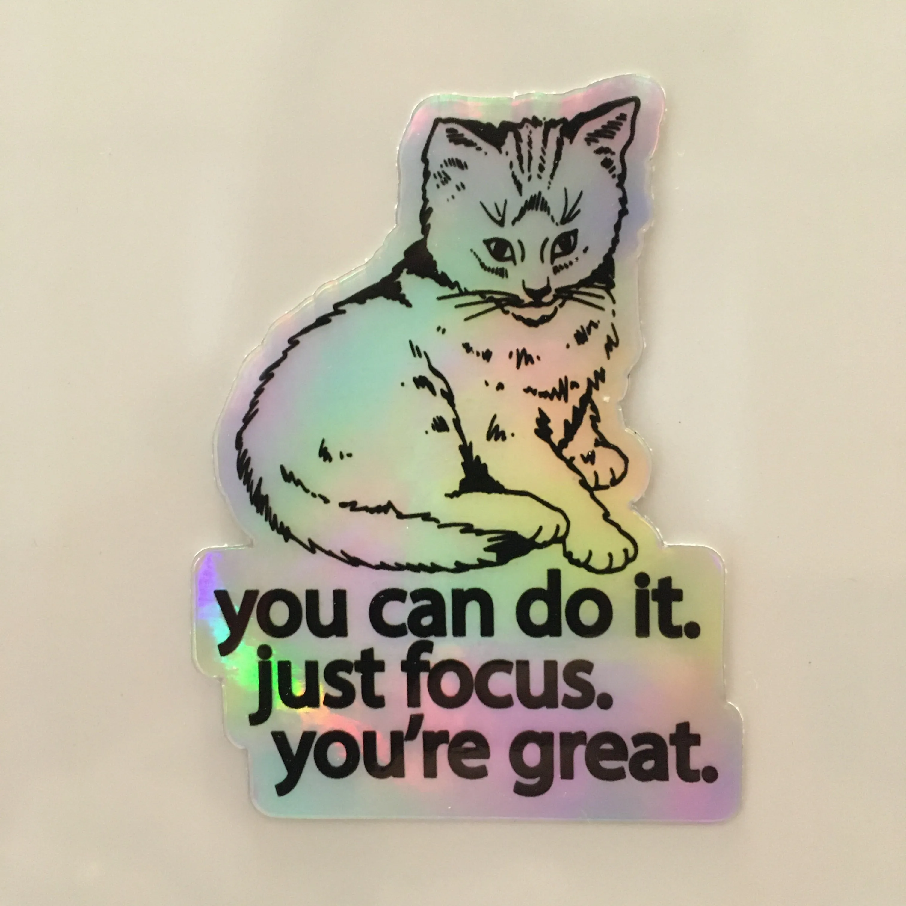 Focus Cat Holographic Sticker