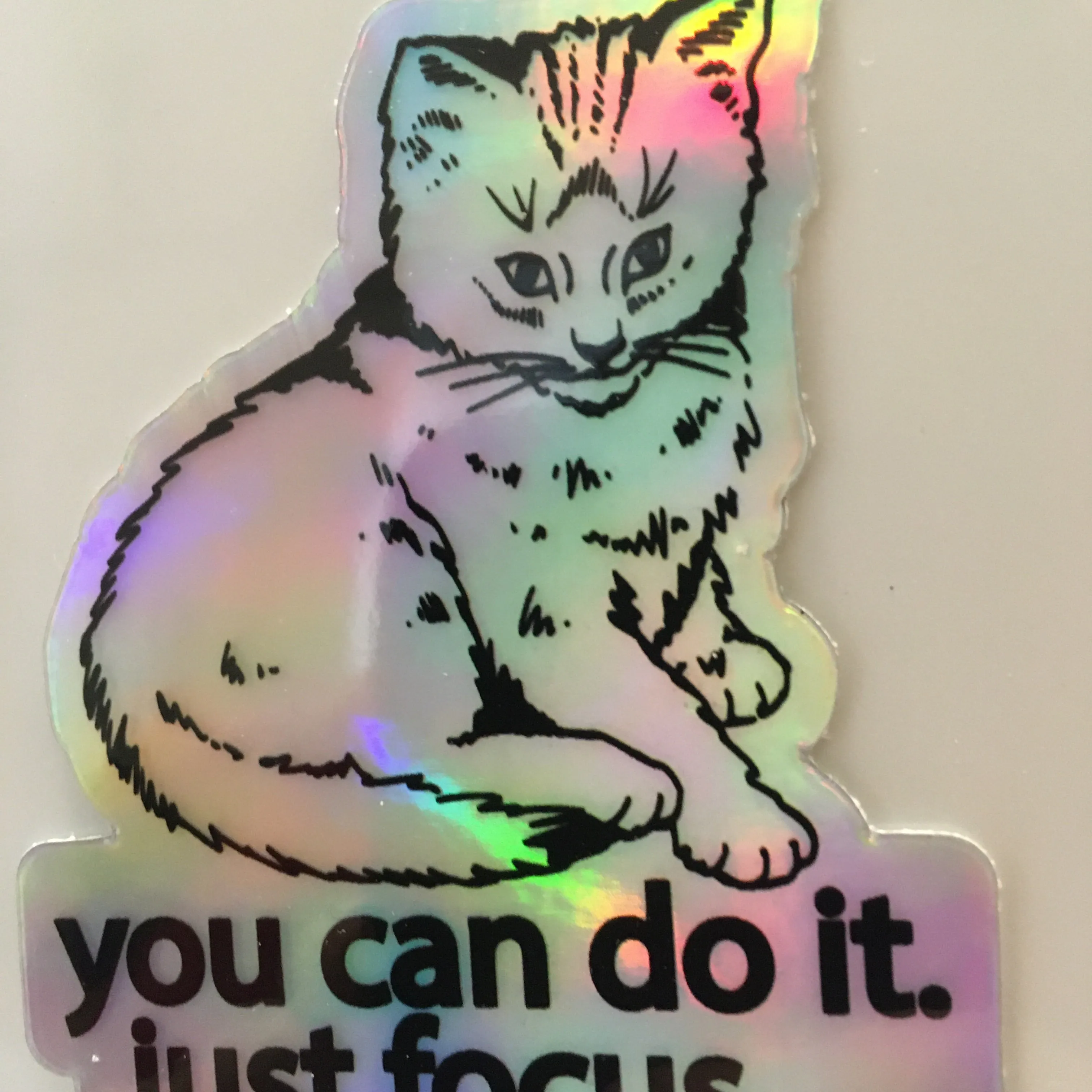 Focus Cat Holographic Sticker